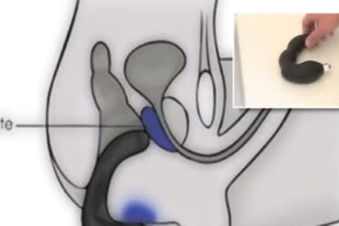 homosexual try a G Spot stimulator