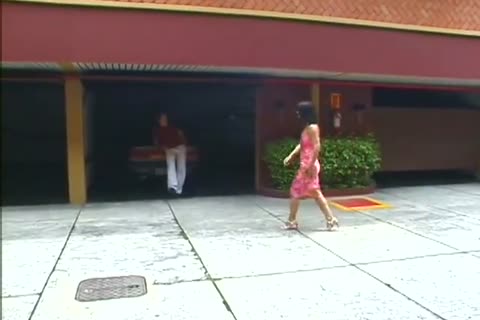 brunette this babemale finds Love in a Steamy Garage