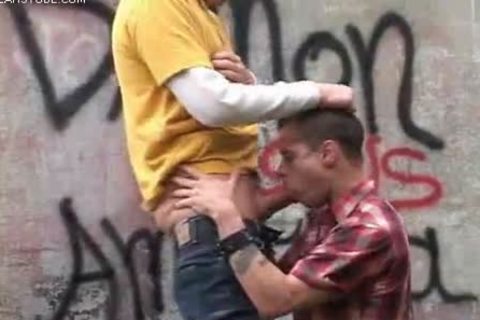 homosexual - fellatio