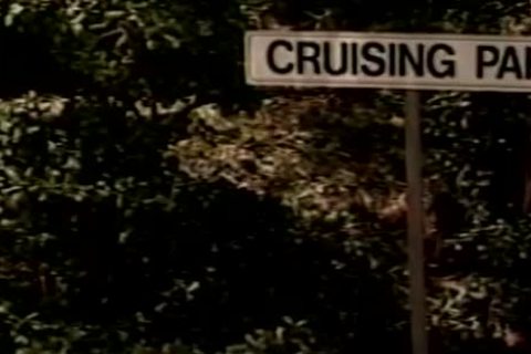 Cruising Park - Scene 3 - hiS video