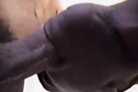 group Of black men Turning On For Each Other