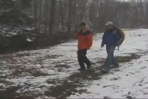 bisexual actions By G-Zon Beauleau And  Alexandre Pleintemps