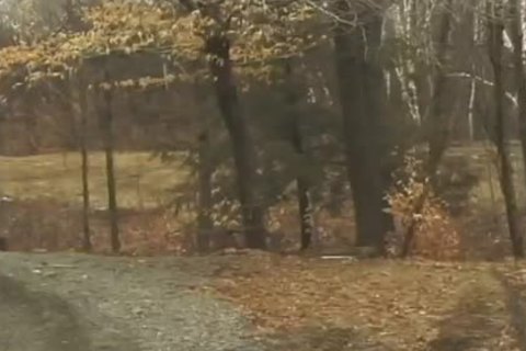 Two twinks drilling Their anal With throbbing Coks