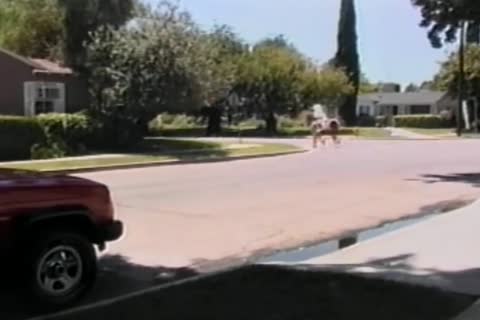 Chad Knight Says this guy Got A giantger wang To taste