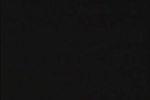 Dino pound And enjoy Grant Wood