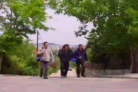 Three handsome boys sucking knobs On The Garden