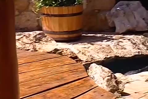 Two guys Have fun In The charming Summer Sun.