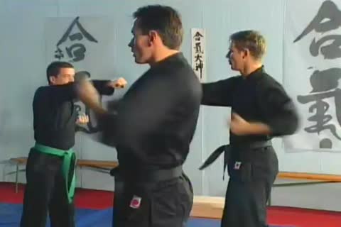 everybody Was jizz-Fu Fighting