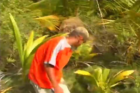 Two lascivious homosexuals sucking Each Ottgreetingss chabr cock In Outdoor