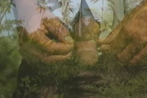 Gura gets his dong sucked Hard In The Woods