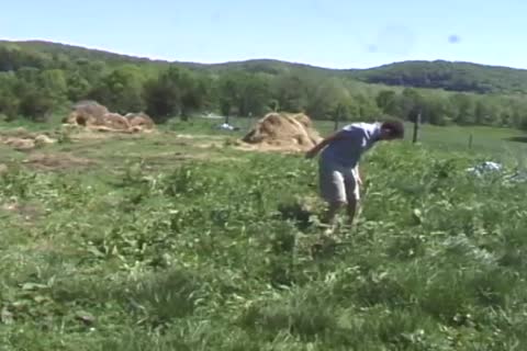 homosexual lads Having enjoyfellowst In Tthowdys man Garden