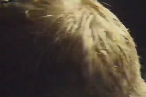 dude With Pink a-hole sucks On Other stud\\'s cock