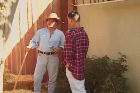 man On guy wang sucking And Backside plowing