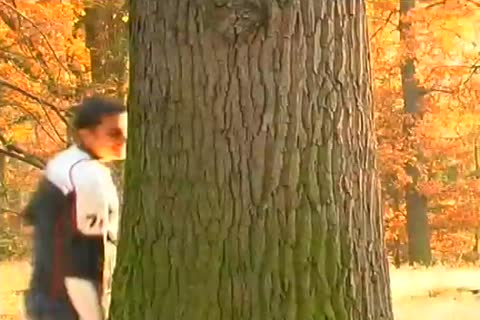 lovely Well brawny chap hammering A gay Porn Star.