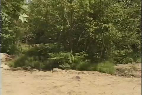 Two twinks enjoying gay Sex In Outdoor