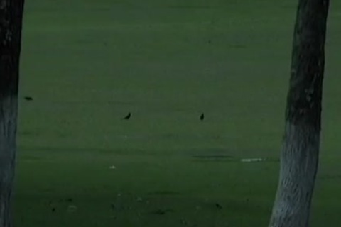 homosexual gets howdys fellow\\'s Slick For ass