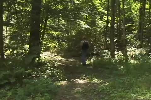 pretty chaps sucking And banging outdoors