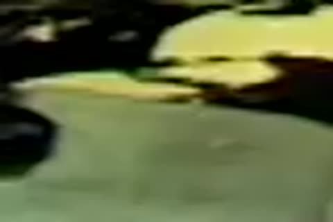 Well Builed Gino Gultier & Stonie Having Very dirty homosexual Porn.