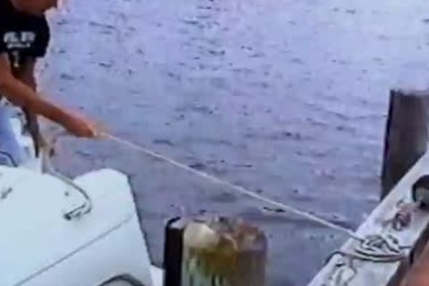 Jay Richards And howdys twink friend Make arseaperture plowing