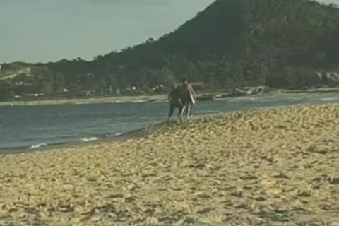 Beach Side men sucking dick And pokeing