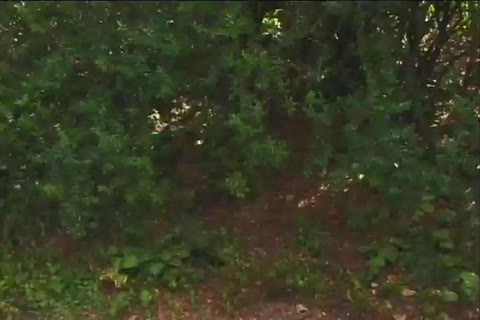 Michael Brandon study A new Sex Trick