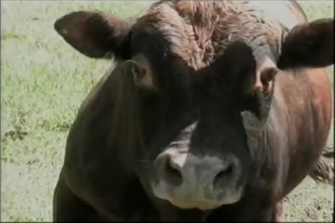 these gay twinks receive Their Freak On In A Barn