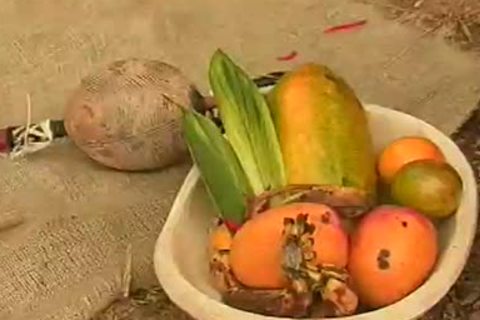 kinky Outdoor homosexual Male pound Fest