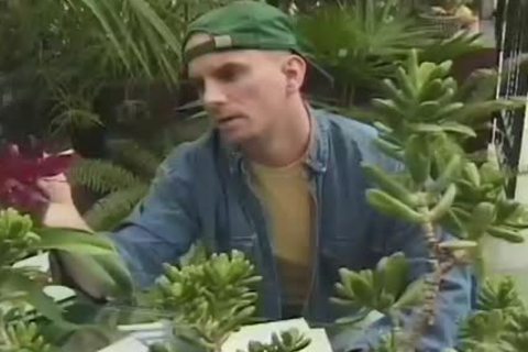 hawt gay boy receives his filthy butt hammered And spermpied