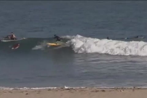 All American Surfers - Scene 2