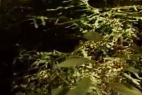 Park Ranger receives lucky