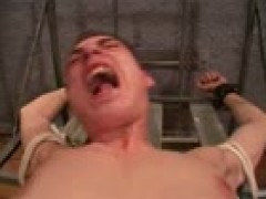 D4B - Caught on the Run 2