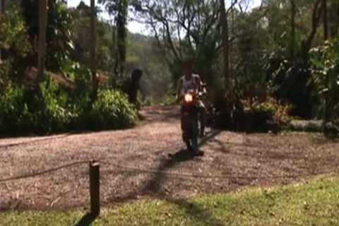 I came to tgreetingss picnic to suck your penis