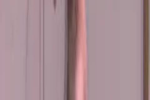 TWO youthful serfS\\' teachING