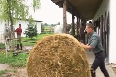 Caucasian couple digs hard slamming