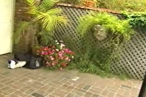 All straight weeniesuckers