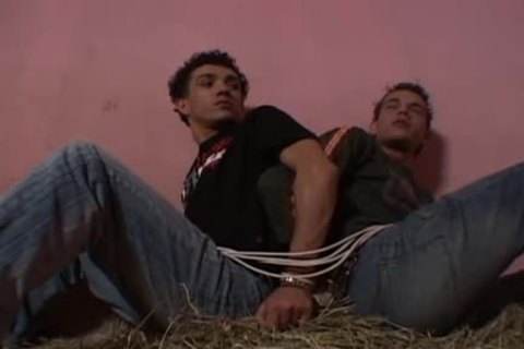 knob Wolfe mateo Reis And Marcello Rocha suck And bang