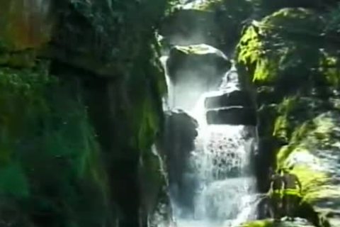 Brazilian Bulge - Scene 1 - Gentlemens clip