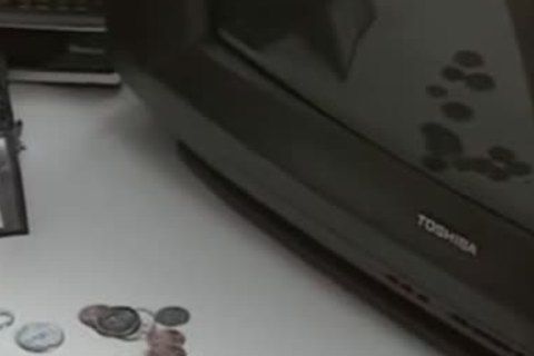 Couple fucked hard