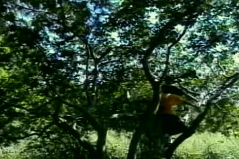 Blowjob cum outdoors