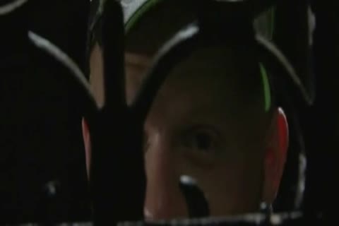 daddy bear and the cub