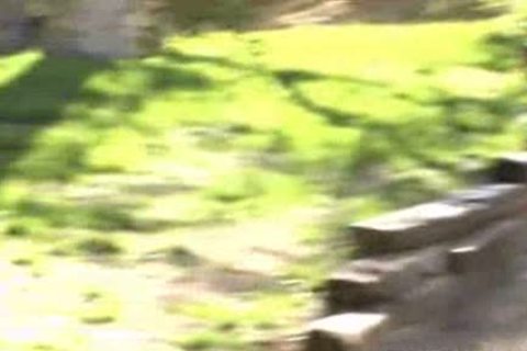 Dempsey Stearns in three way in Park