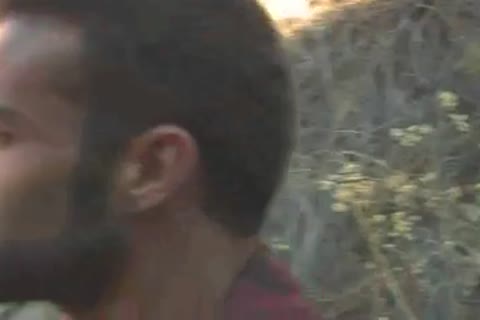 bear fam on the hunt