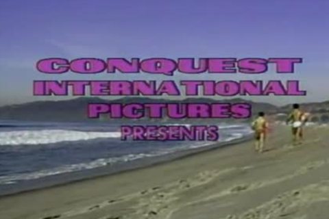 Beach Blanket boner Outdoor fuck and suck