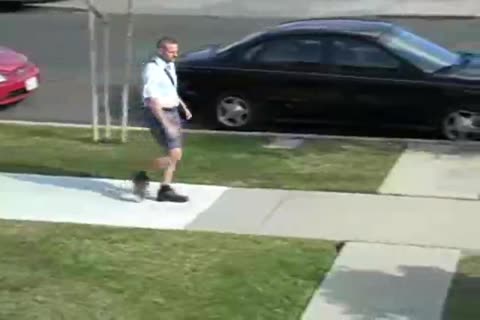 The Mailfellow Delivers