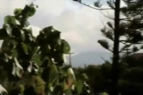 BATE PAPO gay TEL 21 3379-2626 MILHARES DE HOmenS