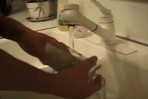 Michael Vista And Dakota Blaze suck And pound analhole\nholes