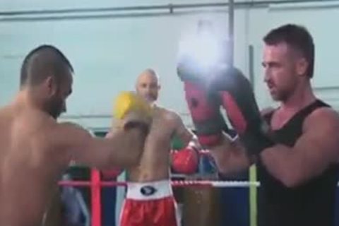 Three boxers training