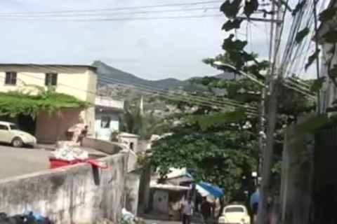 Gatos Brasileiros - Urban Cruisers