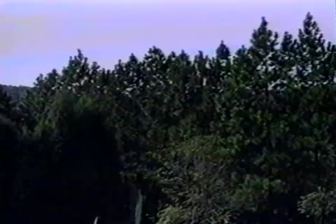 homosexual Brazillian Nut lickers In action here Giving oral-jobs