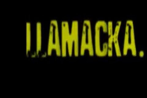 Timo Krupp & Tony Maya